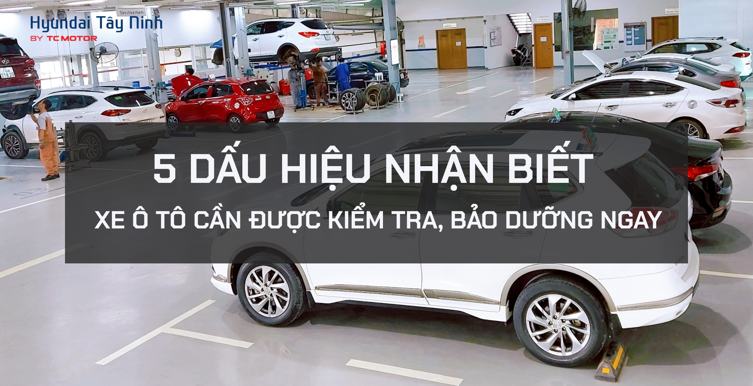 5 DẤU HIỆU CHO THẤY BẠN CẦN BẢO DƯỠNG Ô TÔ NGAY